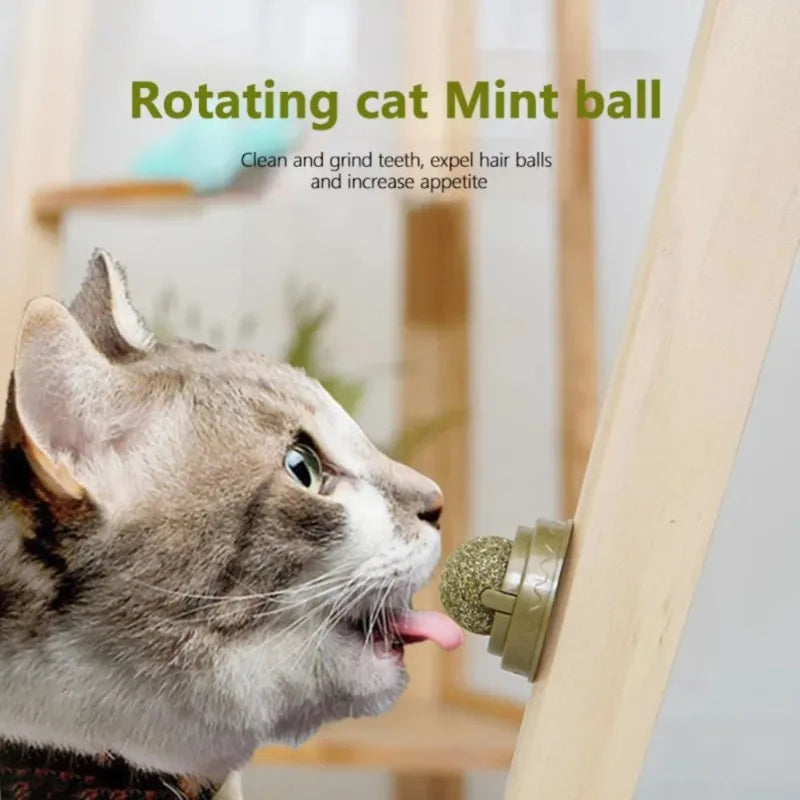 "Catnip Wall Stick-On Ball – Natural Mint Toy for Cats to Promote Digestion and Improve Appetite"