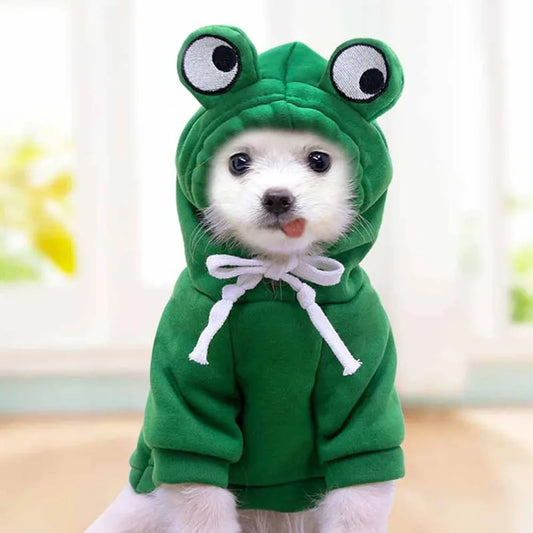 "Cute Frog Hoodie for Pets – Adorable Sweater Jumper for Dogs"