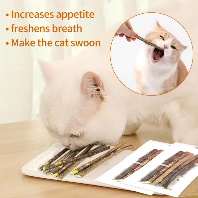 "Natural Catnip Molar Stick – Teeth Cleaning Snack Toy for Kittens"