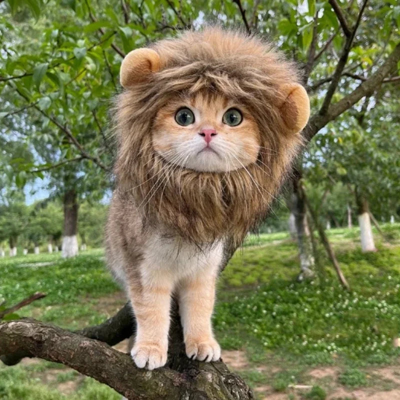 "Lion Mane Cat Costume: Perfect Cosplay for Small Cats and Kittens - Ideal for Halloween Parties and Decorations!"