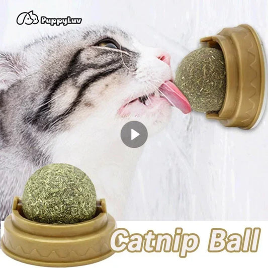 "Catnip Wall Stick-On Ball – Natural Mint Toy for Cats to Promote Digestion and Improve Appetite"