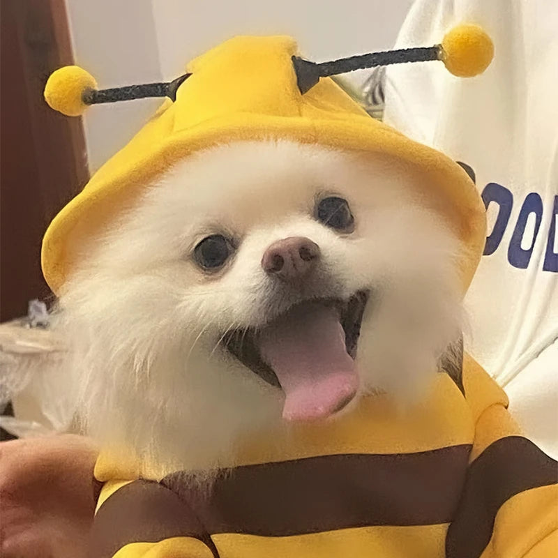 "Bee Costume Pet Hoodie – Fleece Apparel for Dogs and Cats, Perfect for Halloween"