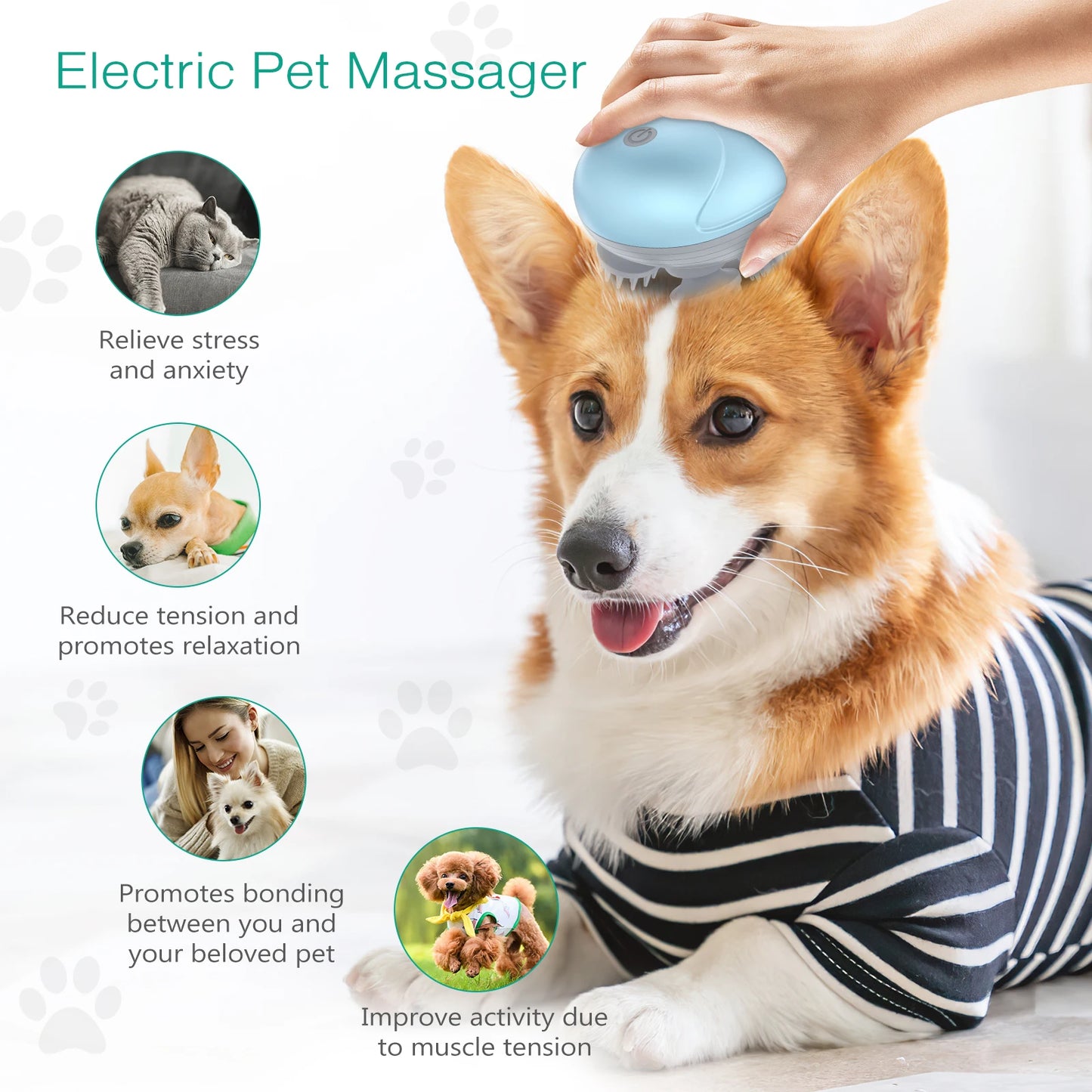 "ORIA Electric Cat Massager: Portable Pet Relaxation & Hair Growth Aid!"