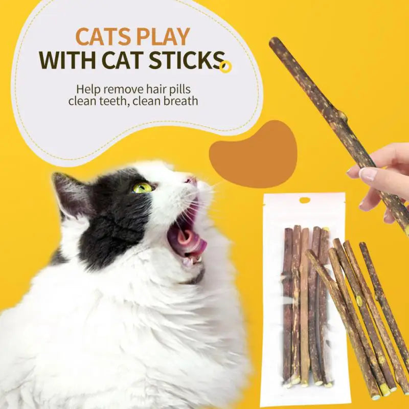 "Natural Catnip Molar Stick – Teeth Cleaning Snack Toy for Kittens"