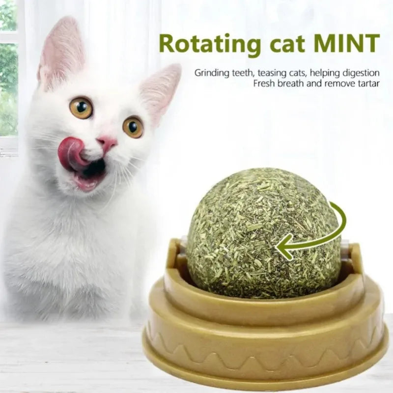 "Catnip Wall Stick-On Ball – Natural Mint Toy for Cats to Promote Digestion and Improve Appetite"