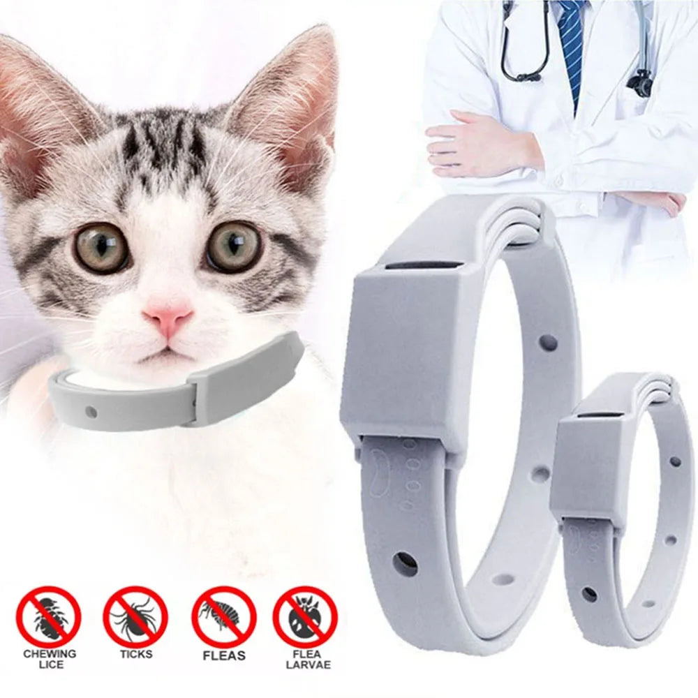 "Adjustable Anti-Flea and Tick Collar for Cats and Small Dogs – 8-Month Protection"