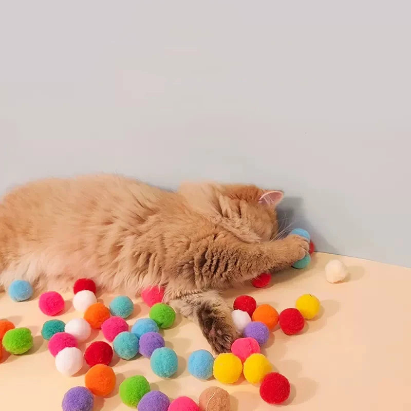 "Interactive Plush Ball Toys – Mini Pompoms for Kittens and Puppies"